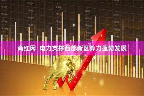 尚红网  电力支撑西部新区算力蓬勃发展